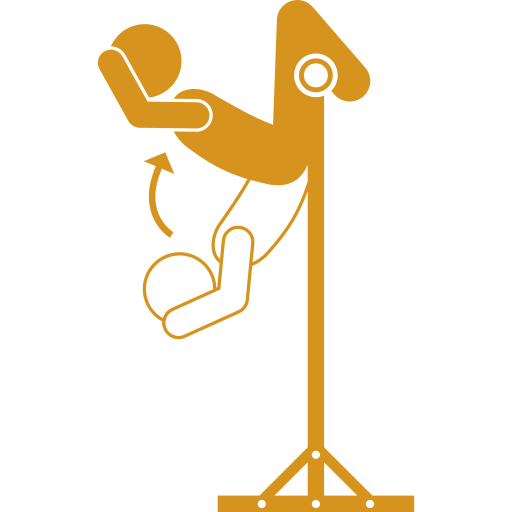wo-calisthenics