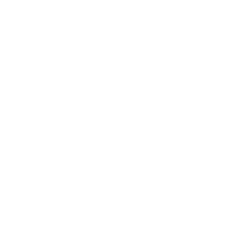 wo-calisthenics
